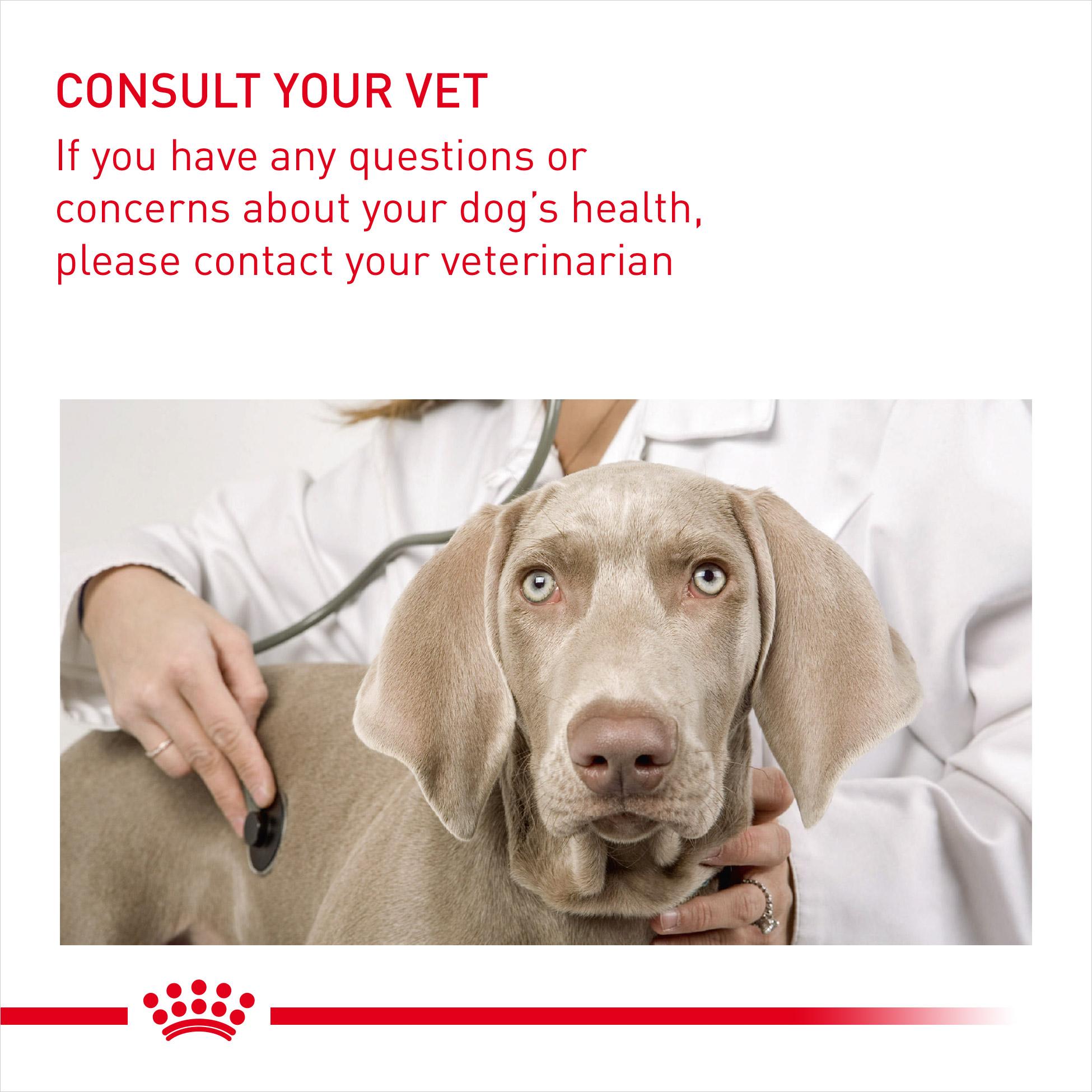 Royal Canin Mini Sterilised Care Adult Dry Dog Food 8 kg